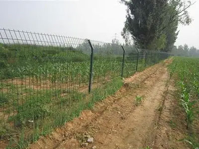 护栏网9